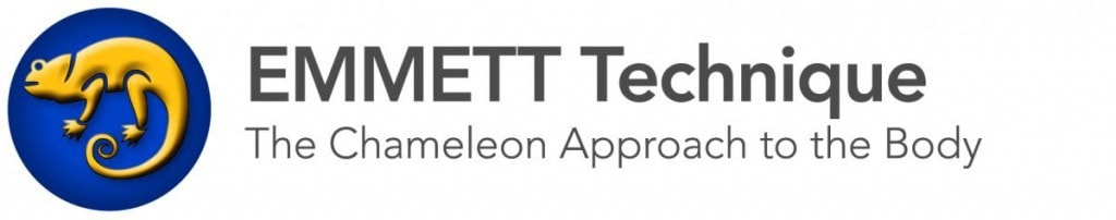 EMMETTTechnique_SymbolText_Solid_(P)